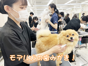 毎日の歯みがきで健康を守ります☆